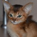Катерина