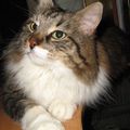 Zoe
