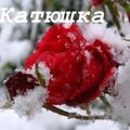 Катюфка