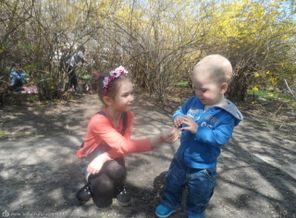 SAM_0421