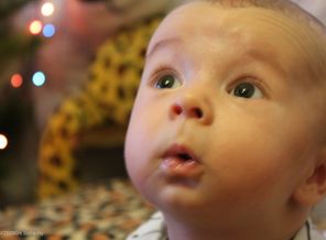IMG_0668