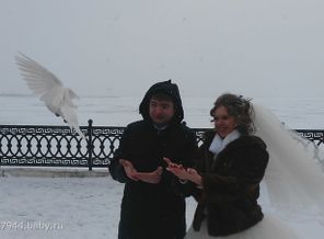 С голубями
