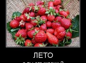 tebya-zhdem-leto-kartinki-smeshnye-kartinki-fotoprikoly_2285218316