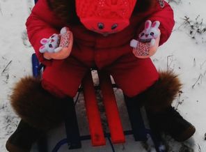 IMG_20150107_14370
