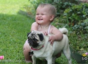 102476771_deti_i_mops_1