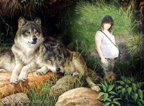 getImage