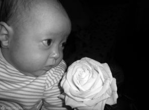 linka