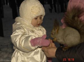 Хороооошая белочка, Смеееелая !!!