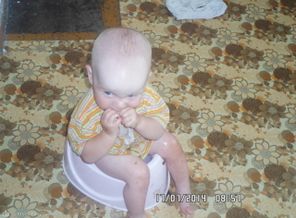 SAM_1216