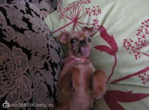 Моя радость