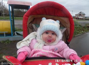 SAM_1505
