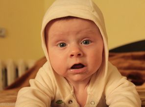IMG_9239