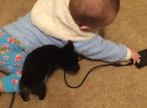 image1423392061.242944