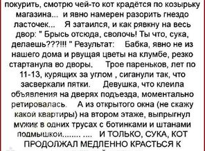 getImage-13