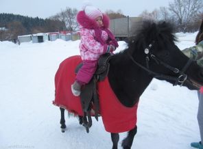 Лошадка