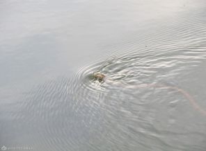 IMG_3573
