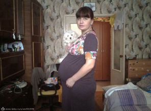 22 недели беременности
