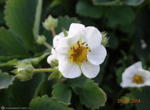 DSC00015