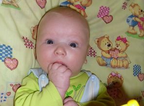 SAM_0353