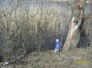 SAM_1381