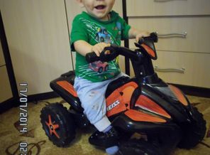 SAM_3219