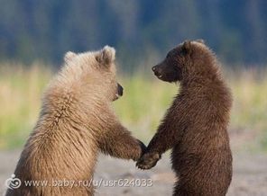 Мне кажется, что они, как мы)