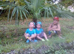 PhotoChooser-300e7198-5712-48c8-b96b-7b59f438e8c6