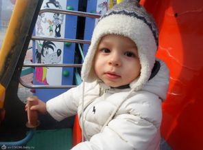 SAM_0988