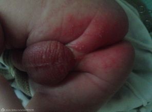 image1422867920.650276
