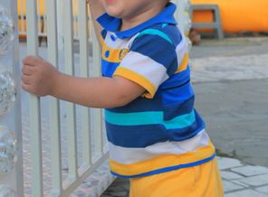 IMG_8361