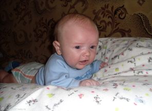 SAM_0008