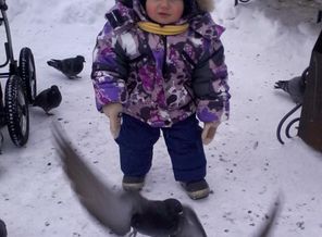 и почему я не летаю?..