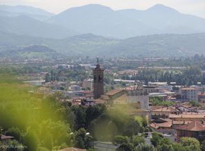 IMG_6196