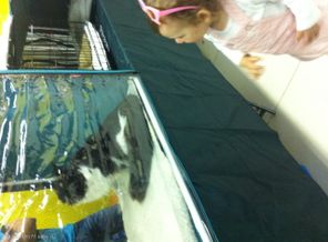 image1411594558.063471