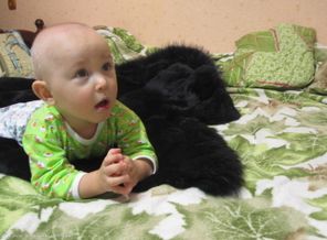 Спокойно лежу на шубке,смотрю мультики и не мешаю ни кому!