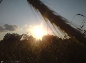 DSC03084