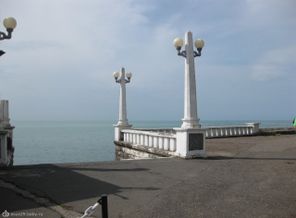 IMG_1184