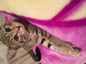 image1422640081.601912