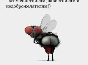 130275029_272189180