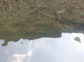 20150628_172455