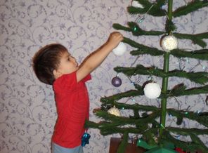 SAM_0474