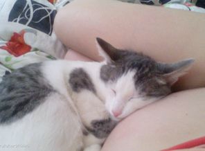 котик в месте с нами ждет появление дочки)