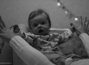 IMG_6964