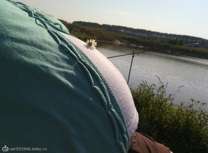 Животик