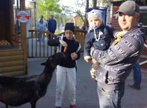 С папой, а сестркнка кормит овечек