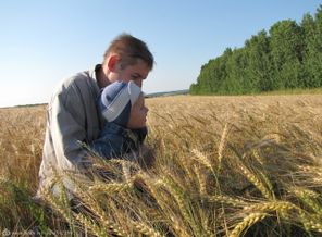 Пшеничное настроение