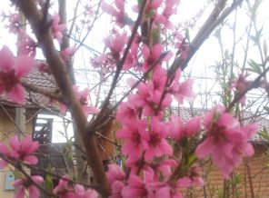 IMG_20150503_225300