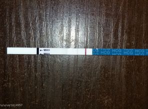 20150619_095619