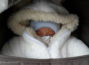IMG-20141207-WA0021