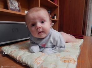 DSCN0353